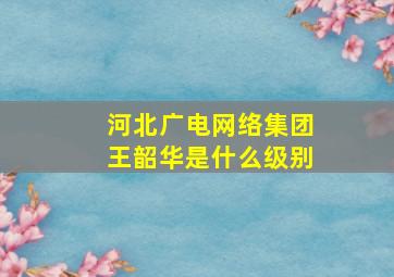 河北广电网络集团王韶华是什么级别