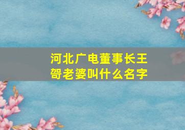 河北广电董事长王哿老婆叫什么名字