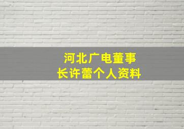 河北广电董事长许蕾个人资料