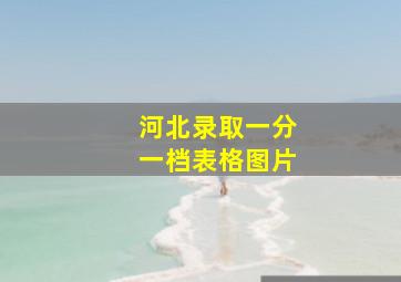 河北录取一分一档表格图片