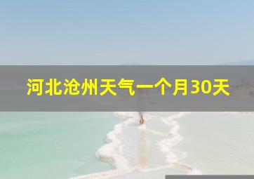 河北沧州天气一个月30天