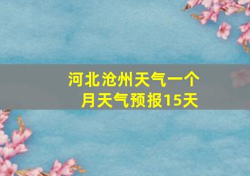 河北沧州天气一个月天气预报15天