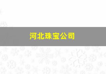 河北珠宝公司