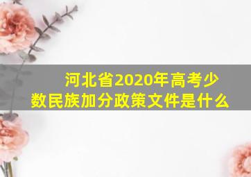 河北省2020年高考少数民族加分政策文件是什么