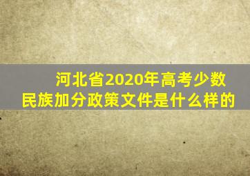 河北省2020年高考少数民族加分政策文件是什么样的