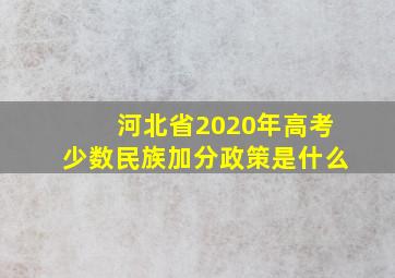 河北省2020年高考少数民族加分政策是什么