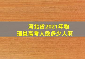 河北省2021年物理类高考人数多少人啊