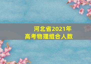 河北省2021年高考物理组合人数