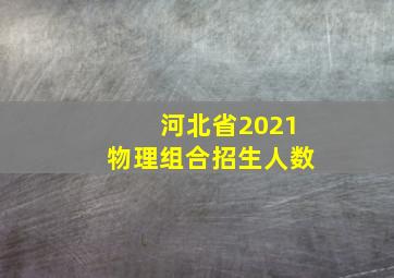 河北省2021物理组合招生人数