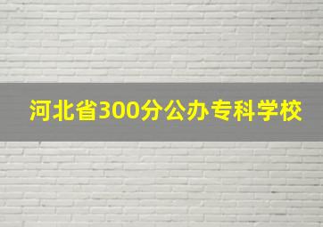 河北省300分公办专科学校