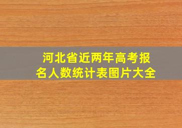 河北省近两年高考报名人数统计表图片大全