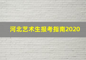 河北艺术生报考指南2020