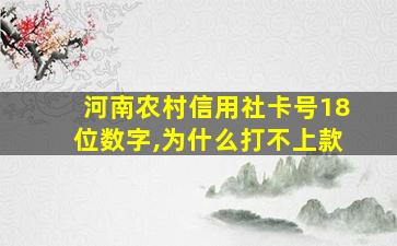 河南农村信用社卡号18位数字,为什么打不上款