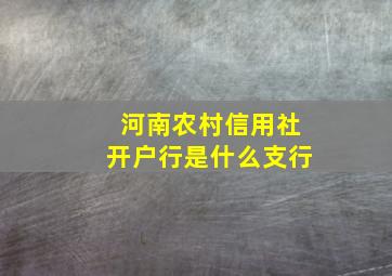 河南农村信用社开户行是什么支行