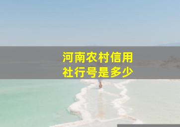 河南农村信用社行号是多少