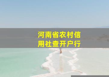 河南省农村信用社查开户行