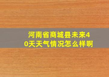 河南省商城县未来40天天气情况怎么样啊