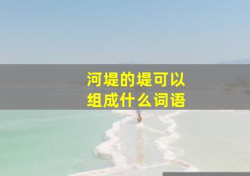 河堤的堤可以组成什么词语