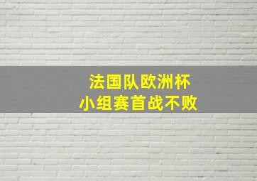 法国队欧洲杯小组赛首战不败