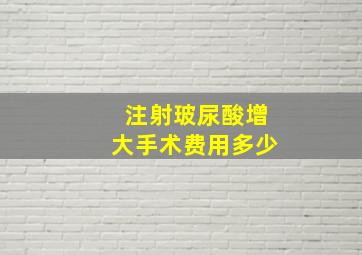 注射玻尿酸增大手术费用多少