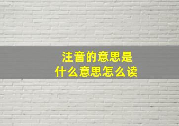 注音的意思是什么意思怎么读