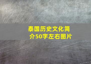 泰国历史文化简介50字左右图片