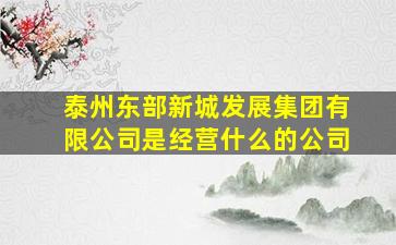 泰州东部新城发展集团有限公司是经营什么的公司