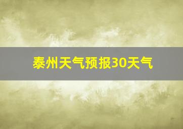 泰州天气预报30天气