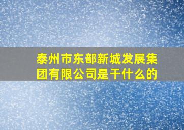 泰州市东部新城发展集团有限公司是干什么的