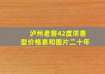 泸州老窖42度浓香型价格表和图片二十年