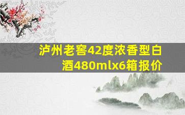 泸州老窖42度浓香型白酒480mlx6箱报价