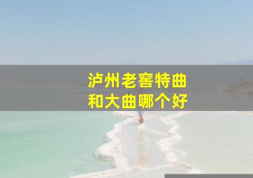 泸州老窖特曲和大曲哪个好