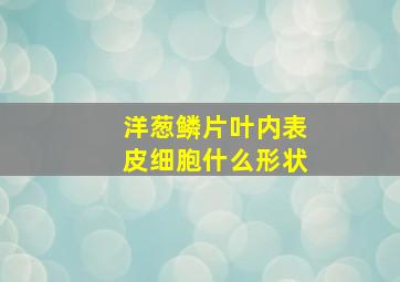 洋葱鳞片叶内表皮细胞什么形状