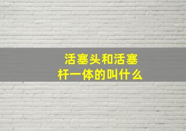 活塞头和活塞杆一体的叫什么