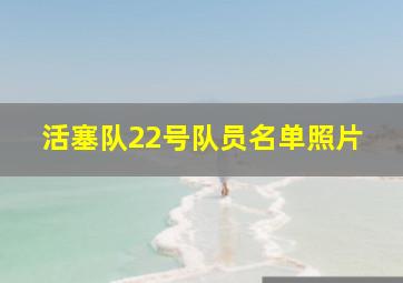 活塞队22号队员名单照片