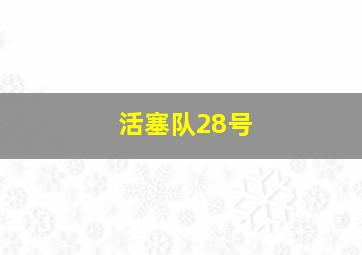 活塞队28号