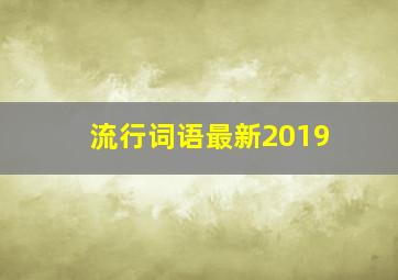 流行词语最新2019