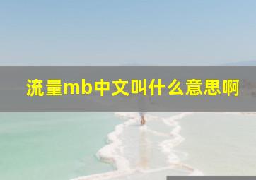 流量mb中文叫什么意思啊