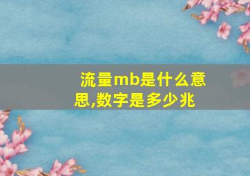 流量mb是什么意思,数字是多少兆