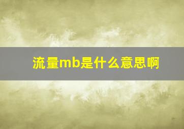 流量mb是什么意思啊