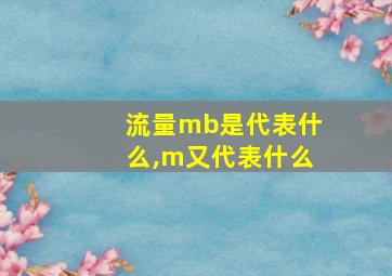 流量mb是代表什么,m又代表什么