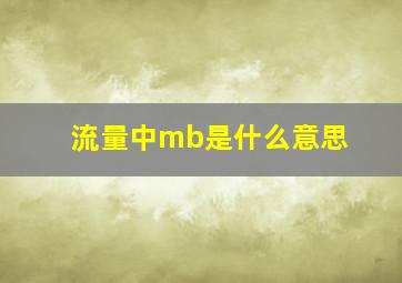 流量中mb是什么意思