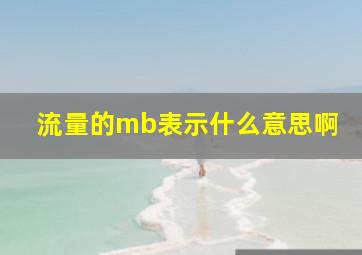 流量的mb表示什么意思啊