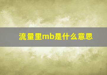 流量里mb是什么意思