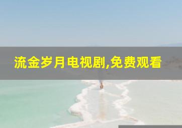 流金岁月电视剧,免费观看