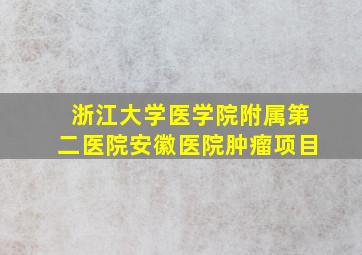 浙江大学医学院附属第二医院安徽医院肿瘤项目