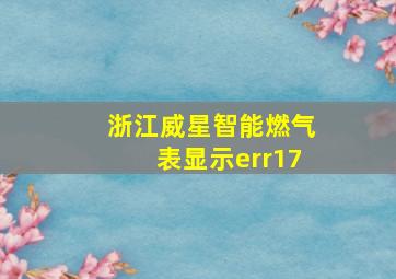 浙江威星智能燃气表显示err17