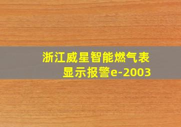 浙江威星智能燃气表显示报警e-2003