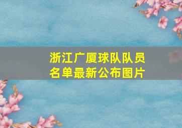 浙江广厦球队队员名单最新公布图片