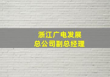 浙江广电发展总公司副总经理